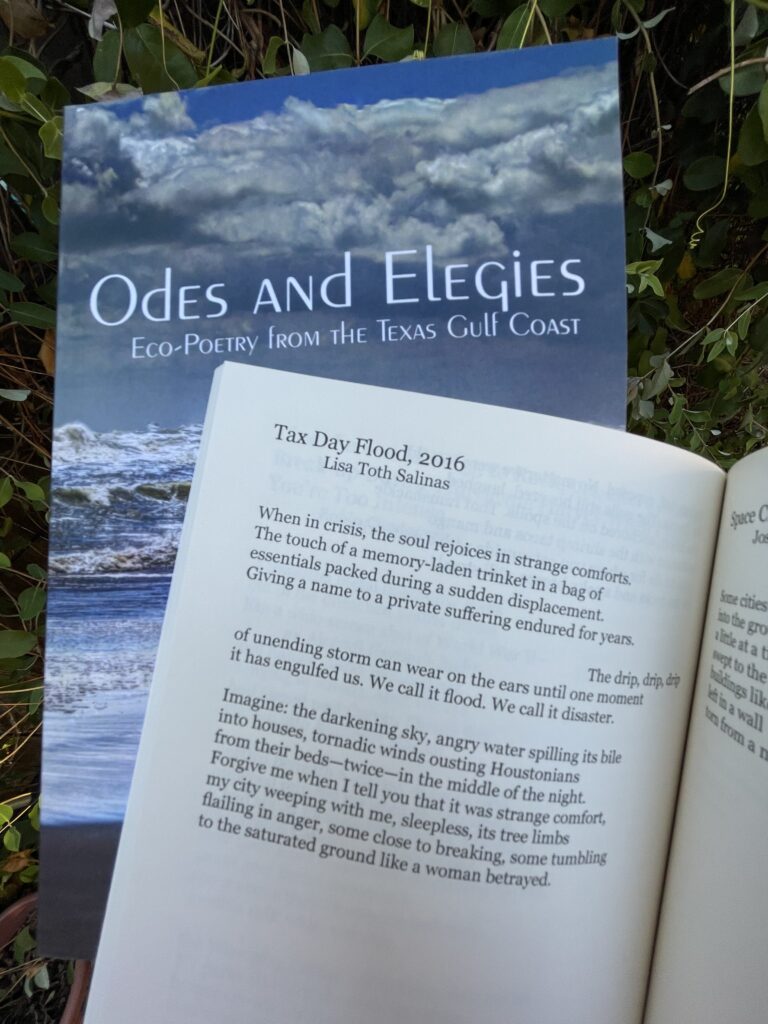 Tax Day Flood, 2016, in Odes & Elegies: Eco-Poetry from the Texas Gulf Coast
