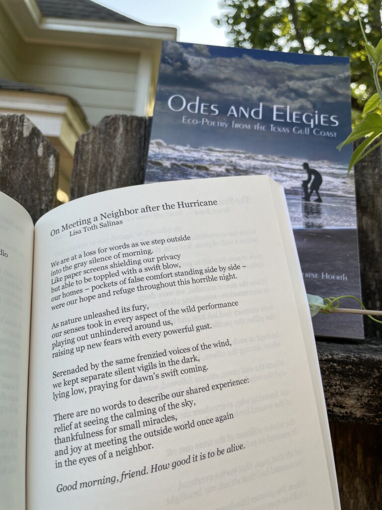 On Meeting a Neighbor After the Hurricane, in Odes & Elegies: Eco-Poetry from the Texas Gulf Coast